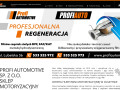 Podgląd https://profiautomotive.pl