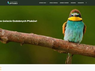 Podgląd https://ozdobneptaki.pl/