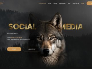 Podgląd https://megafanpage.pl