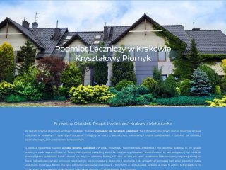 Podgląd https://krysztalowyplomyk.pl/