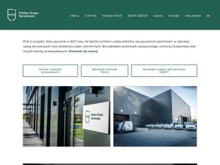 Podgląd pgs-service.com