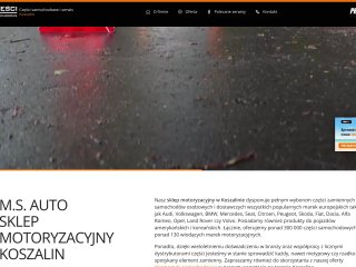 Podgląd https://msauto.pl/