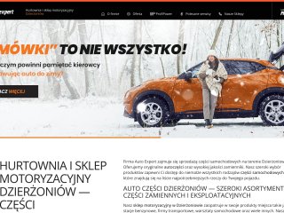 Podgląd https://expert-24.pl/
