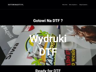 Podgląd https://gotowinadtf.pl/