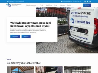 Podgląd https://tynkiwylewki.pl/