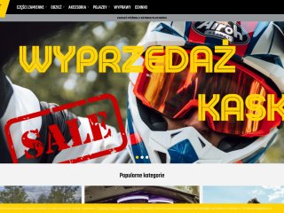 Podgląd https://bluebike.pl/