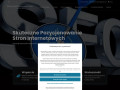 Podgląd Skuteczne pozycjonowanie stron - Pozycjonowanie stron www
