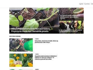 Podgląd https://smakdnia.pl/