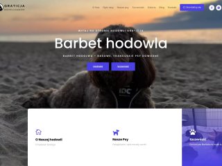 Miniaturka https://barbet-hodowla.pl/