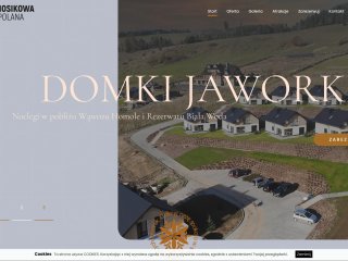 Miniaturka https://janosikowapolana.pl/