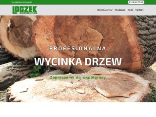 Miniaturka https://wycinkadrzew-lodz-zgierz.pl/