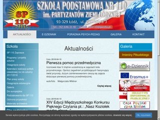 Podgląd sp110.info