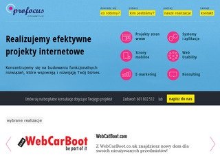 Podgląd profocus.pl