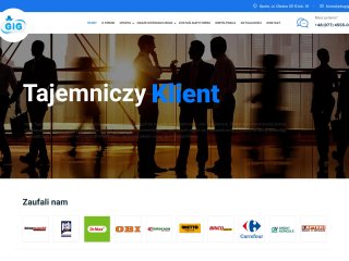 Podgląd https://phugig.pl/