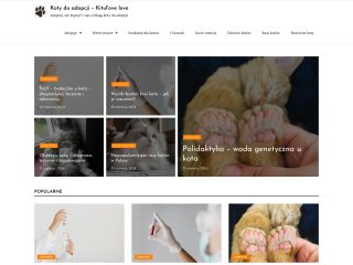 Miniaturka https://www.kitul.com.pl/