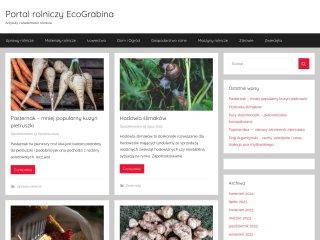 Miniaturka https://ecograbina.pl/