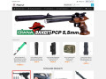 Podgląd https://www.airgun.pl/