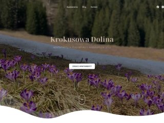 Podgląd https://apartamentykrokusowadolina.pl/