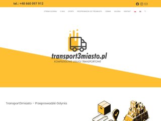 Podgląd transport3miasto.pl