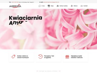 Podgląd https://e-ambrosia.pl/