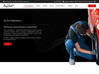 Podgląd https://autopasjonaci.com.pl/