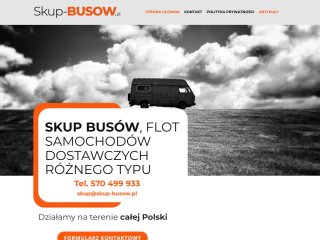 Miniaturka https://skup-busow.pl