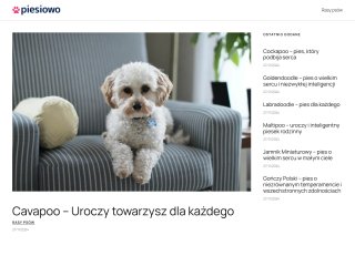 Podgląd https://piesiowo.pl/