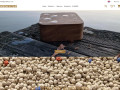 Podgląd https://goodsfutur.com