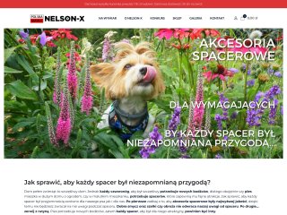 Miniaturka https://nelson-x.pl/