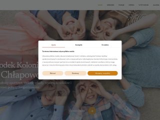 Podgląd https://jarchlapowo.pl/