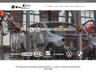 Podgląd https://gumex.com.pl/