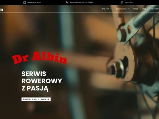 Podgląd https://dralbin.pl/