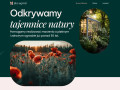 Podgląd ABC Ogród Projektowanie i zakładanie ogrodów Kraków, Wieliczka