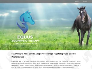 Podgląd Fizjoterapia koni Equus Zoophysiotherapy fizjoterapeuta Izabela Michałowska