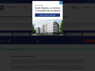 Podgląd DOMBUD S.A.