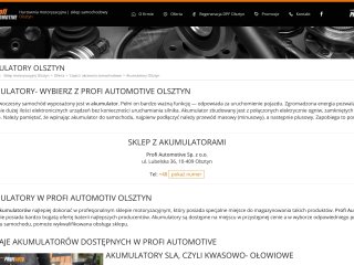 Podgląd Profi Automotive