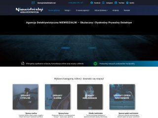 Podgląd https://www.niewidzialni.net