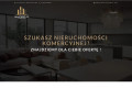 Podgląd https://masterplus-consulting.pl