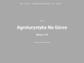 Podgląd https://nocleginagorze.pl/