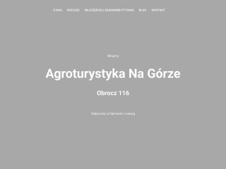 Podgląd https://nocleginagorze.pl/