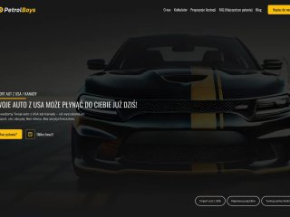 Podgląd https://petrolboys.pl