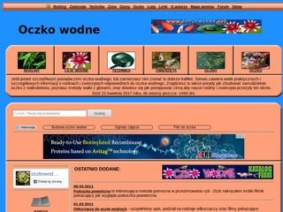 Podgląd oczkowodne.net