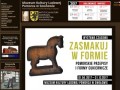 Podgląd muzeum.swolowo.pl