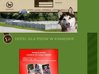 Podgląd szarikton.pl