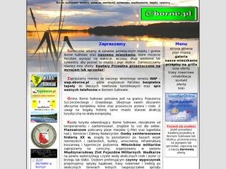 Podgląd eborne.pl