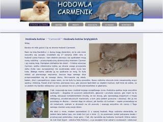 Podgląd carmenik.pl