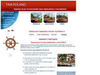 Podgląd tampoland.pl