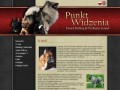Podgląd punktwidzenia.info