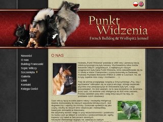 Podgląd punktwidzenia.info