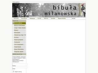Podgląd bibula.theproject.pl